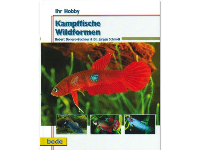 Kampffisch Wildformen - Ihr Hobby Buch 