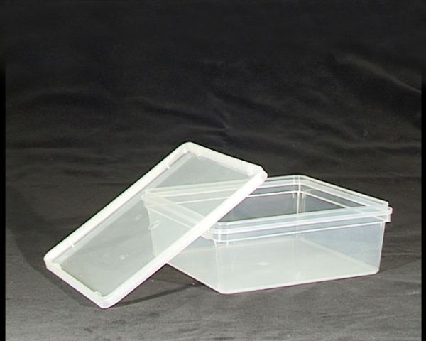 Zuchtbox für Microfex - 19cm x 19cm x 6.5cm