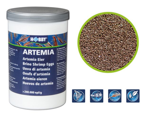 Artemia Eier - Hobby brine Shrimp Eggs