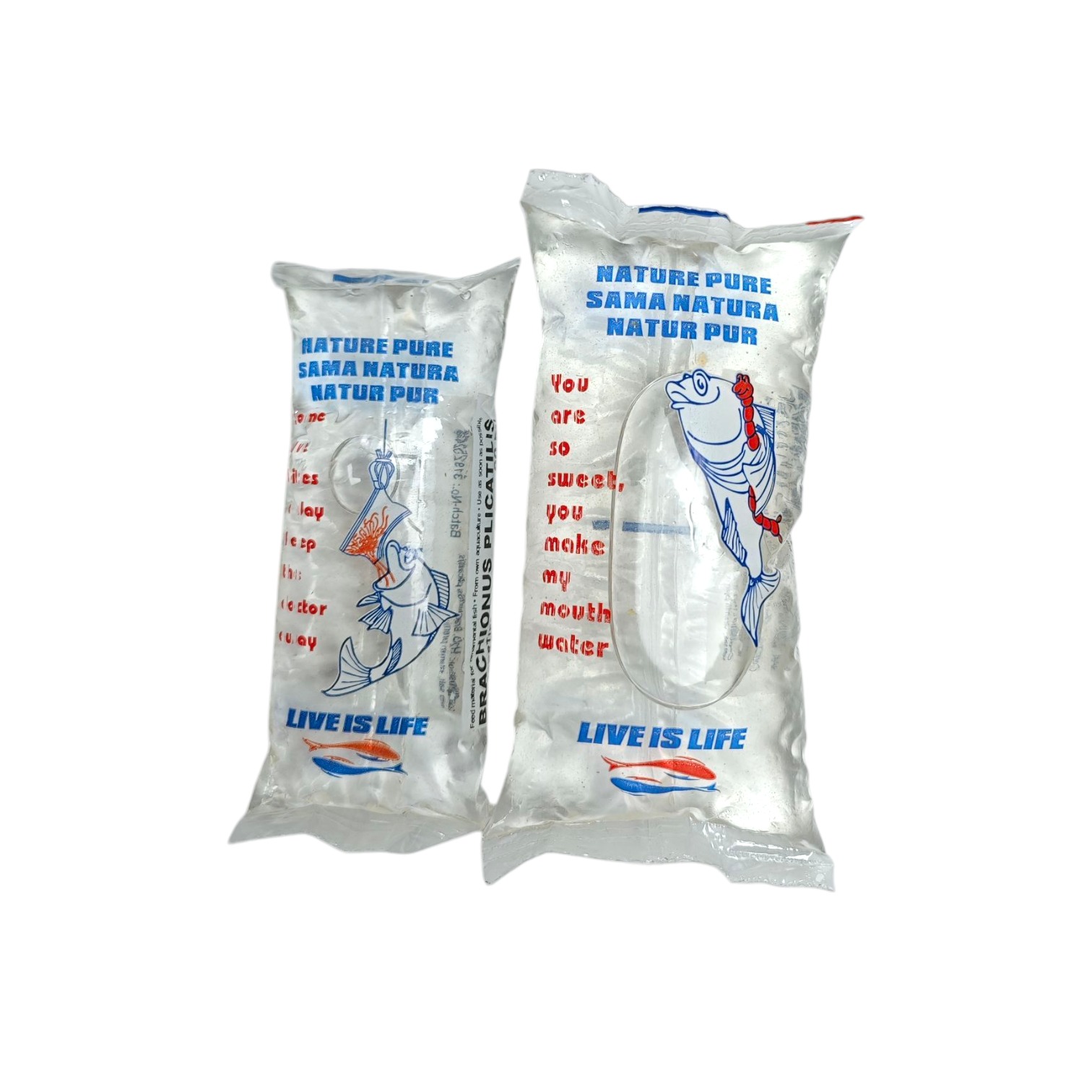 Marine Copepoden - Lebendfutter für Bärblinge und Aufzucht